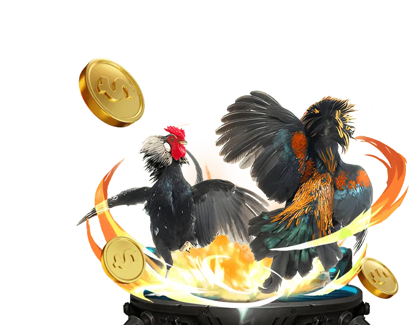 Cá cược thể thao omo88