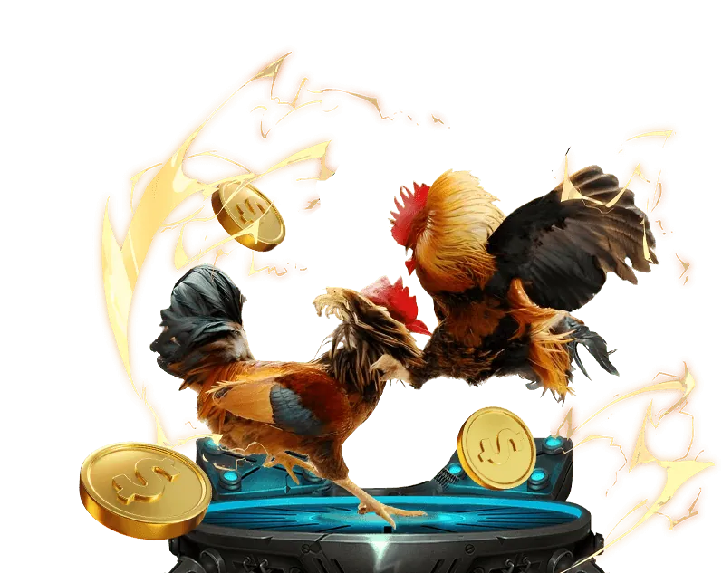 Các tính năng ứng dụng omo88